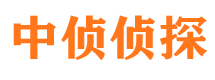 任县侦探调查公司